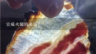 宣威火腿的來歷？