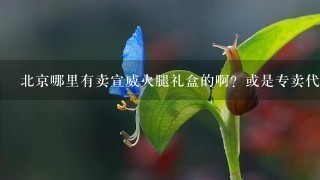 北京哪里有賣宣威火腿禮盒的??？或是專賣代理類的？