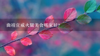 曲靖宣威火腿美食哪家好？