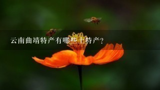 云南曲靖特產有哪些土特產？