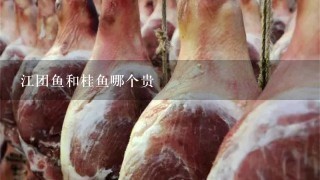 江團魚和桂魚哪個貴