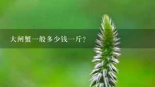 大閘蟹1般多少錢1斤？