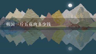 韓國1斤5花肉多少錢