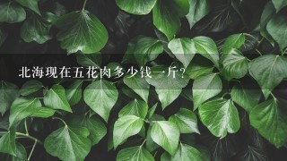 北?，F在5花肉多少錢1斤？