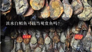 淡水白鯧魚可以當觀賞魚嗎？