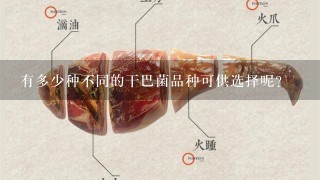 有多少種不同的干巴菌品種可供選擇呢？